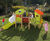 eibe play unit Dandelion - softwood outdoor playground set for children 0