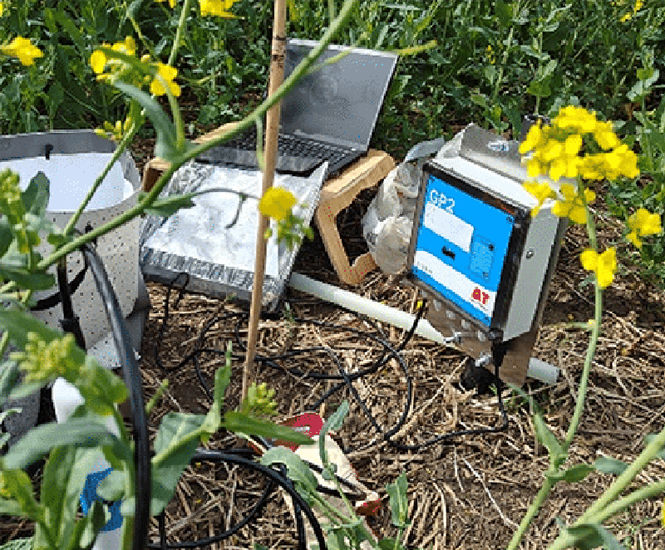 PR2 soil moisture probe used in Cranfield University study
