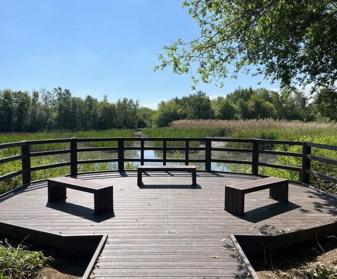 Recycled plastic platform, boardwalk and benches - RSPB Middleton Lakes