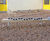 Terrapiedi balancing station - wood playground balance beam for kids 1