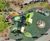 Creating a high-capacity, inclusive play area in busy green space 0