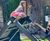 Creating a high-capacity, inclusive play area in busy green space 1
