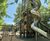 Creating an inclusive landmark play destination at historic Hardwick Hall 1