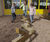 Balancing Station Terraserpe - outdoor wood balance play equipment 0