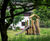 Kenmore Primary School - Double Activity Tower Unit 1