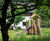 Standard Double Tower (K-72) - timber playground climbing frame for parks 11