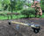 4 Person Seesaw - timber outdoor playground equipment for children 0