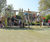 Belfi play unit, solo - outdoor larch wood playground climbing structure 2