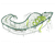 Clive the Crocodille - large rope multiplay climber for playgrounds 1