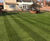 LT7 Festival - hardwearing turf for garden lawns and general landscaping 5
