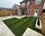 LT8 Festival Plus - turf for high-wear lawns, parks and pathways 4