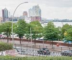 Climate-change-resistant trees for cities