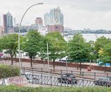 Climate-change-resistant trees for cities - on this page