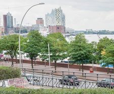 Climate-change-resistant trees for cities