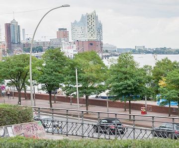 Climate-change-resistant trees for cities