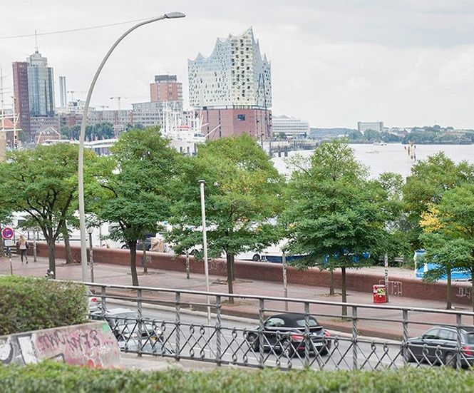 Climate-change-resistant trees for cities