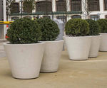 Whitecity Plant Pot - concrete outdoor planter for commercial spaces
