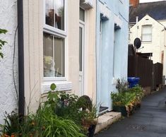 SDS and Anglian Water share smart water butt success
