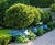 Bell Jar - lightweight fibreglass planters 0