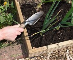 What is an Urban Garden?