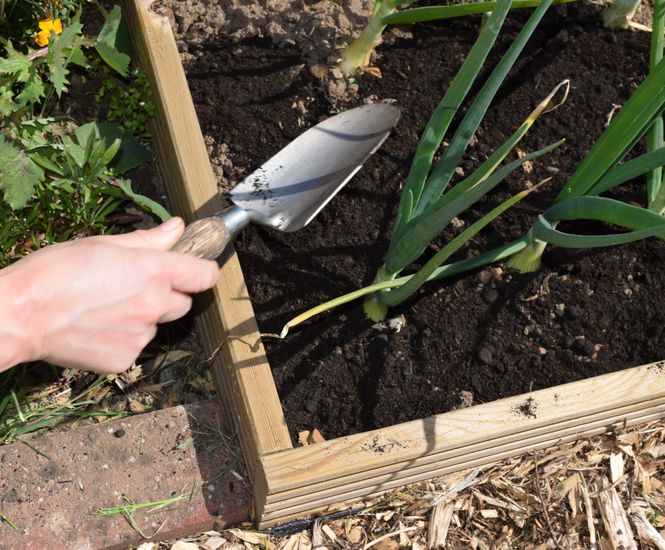 What is an Urban Garden?