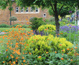It is time to think about Spring planting - on this page
