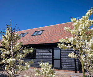Acme Single Camber clay plain roof tiles in Autumn Brindle for July Cottage