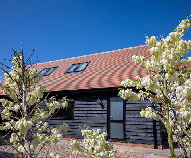 Acme Single Camber clay plain roof tiles in Autumn Brindle for July Cottage