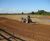 Conventional seeding services 4