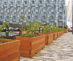 Standard Modular Planter System - hardwood planter for public spaces