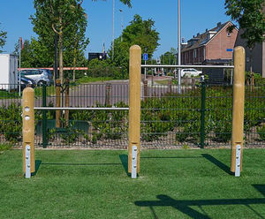 Two-level horizontal bars - softwood and steel gym play equipment