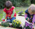 Galium Planting Platform - softwood garden planter for outdoor spaces 1