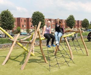 Ema Climbing Tree - natural robinia outdoor playground climbing unit