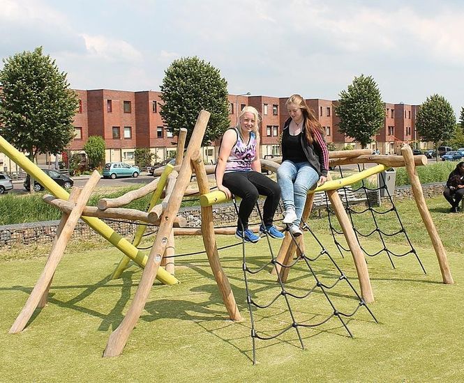 Ema Climbing Tree - natural robinia outdoor playground climbing unit