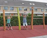 Albin Three-Level Horizontal Bar - robinia wood outdoor play gym bar - on this page