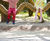 Snake Swing - multi-child outdoor swing set, pressure-treated softwood 9