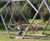 Snake Swing - multi-child outdoor swing set, pressure-treated softwood 6