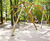 Snake Swing - multi-child outdoor swing set, pressure-treated softwood 0