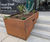 Corten steel planter scheme for Office building on Palace Street, London 3