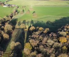 Recyclable tree shelters help restore woodland heritage site