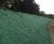 Hydroseeding service with beneficial fungi 1