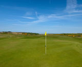 MM50 grass seed keeps tees fit for play at Southerndown Golf Club - on this page