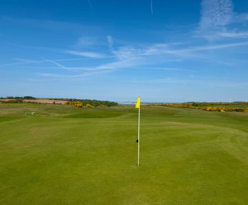 MM50 grass seed keeps tees fit for play at Southerndown Golf Club