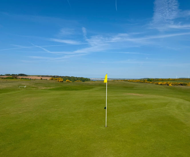 MM50 grass seed keeps tees fit for play at Southerndown Golf Club
