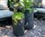 Vertical Ribbed Slim Cylinder - fibrestone outdoor planters 0