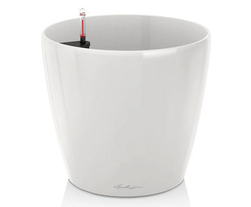 Classico Premium - self-watering plastic planters