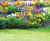 Tuffedge - flexible black PE garden edging for borders and lawns 2
