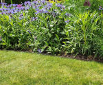 Woodgrain Edge - wood effect lawn edging for garden borders