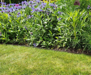 Woodgrain Edge - wood effect lawn edging for garden borders