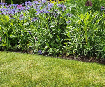Woodgrain Edge - wood effect lawn edging for garden borders